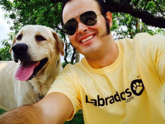 Labrador Photo Submissions - May 2021
