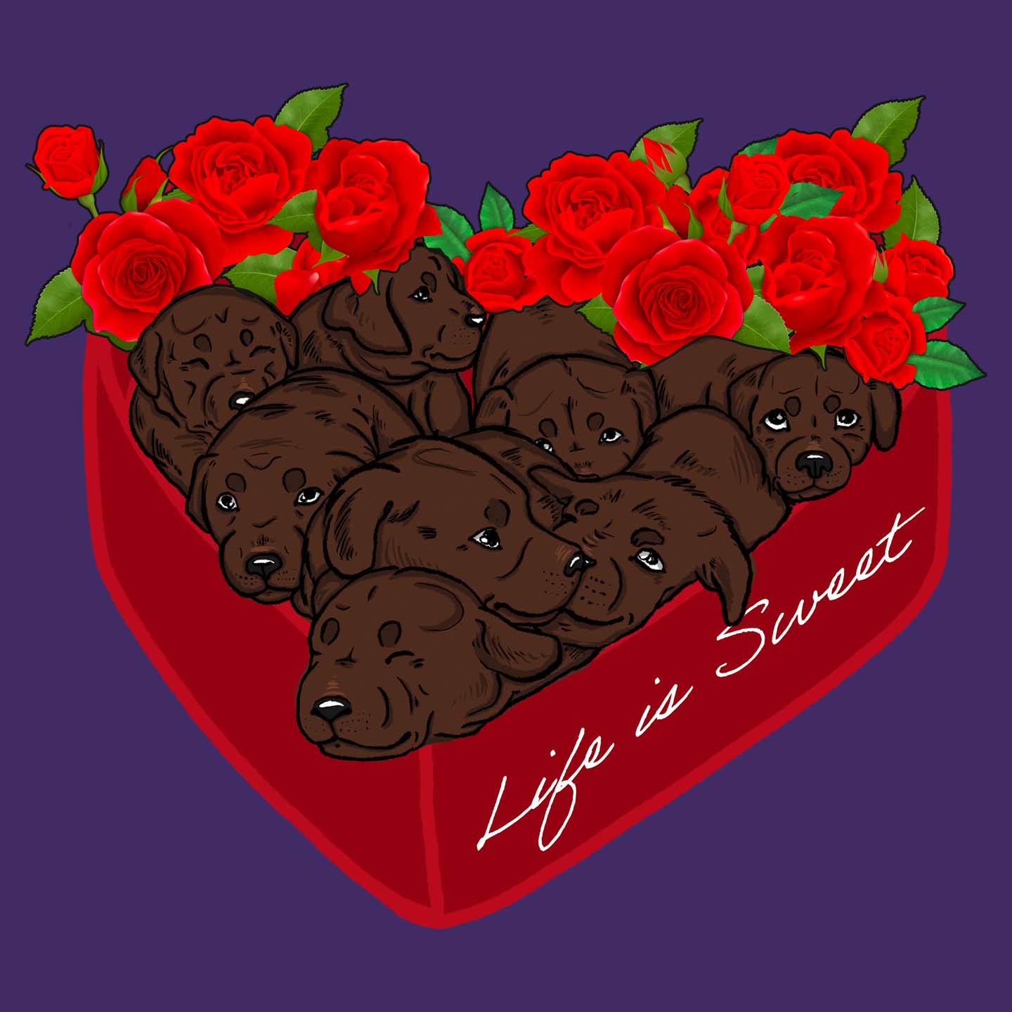 Box of Chocolate Labs - Women's Fitted T-Shirt