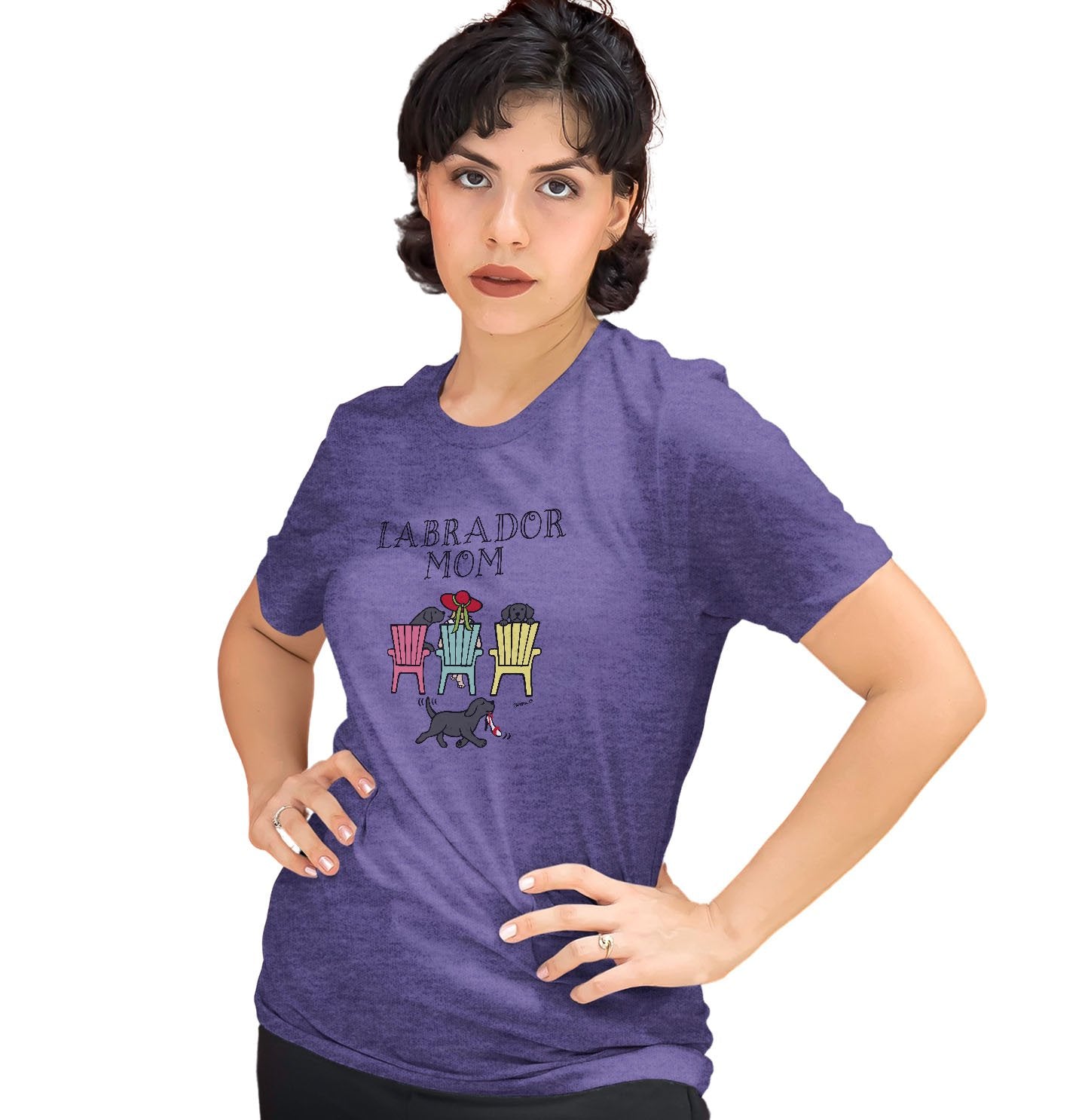 Black Labrador Dog Mom - Deck Chairs Design - Women's Tri-Blend T-Shirt