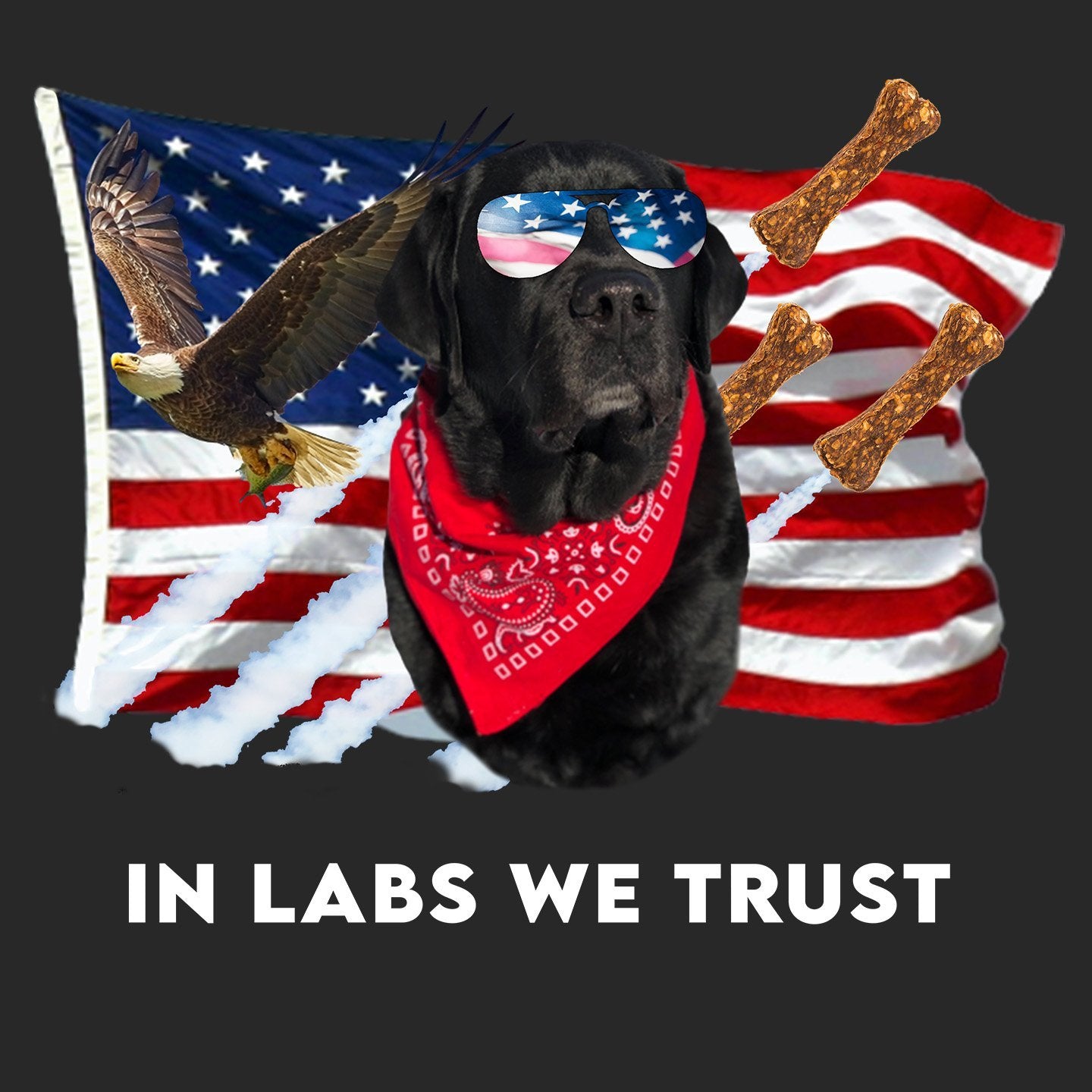 In Lab we Trust Black - Women's V-Neck T-Shirt