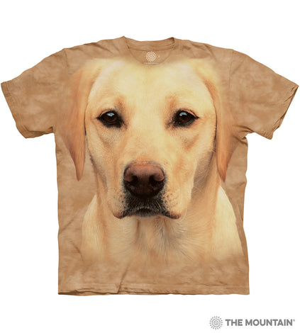 Yellow Labradors