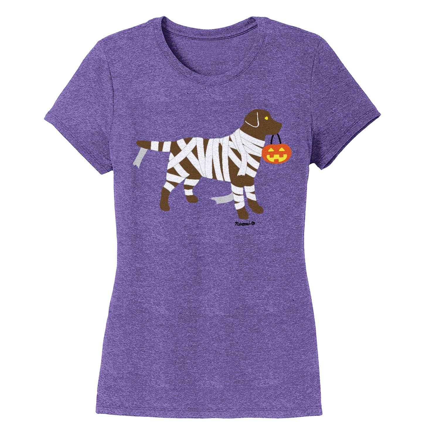 Chocolate Lab Mummy Trick or Treater - Women's Tri-Blend T-Shirt