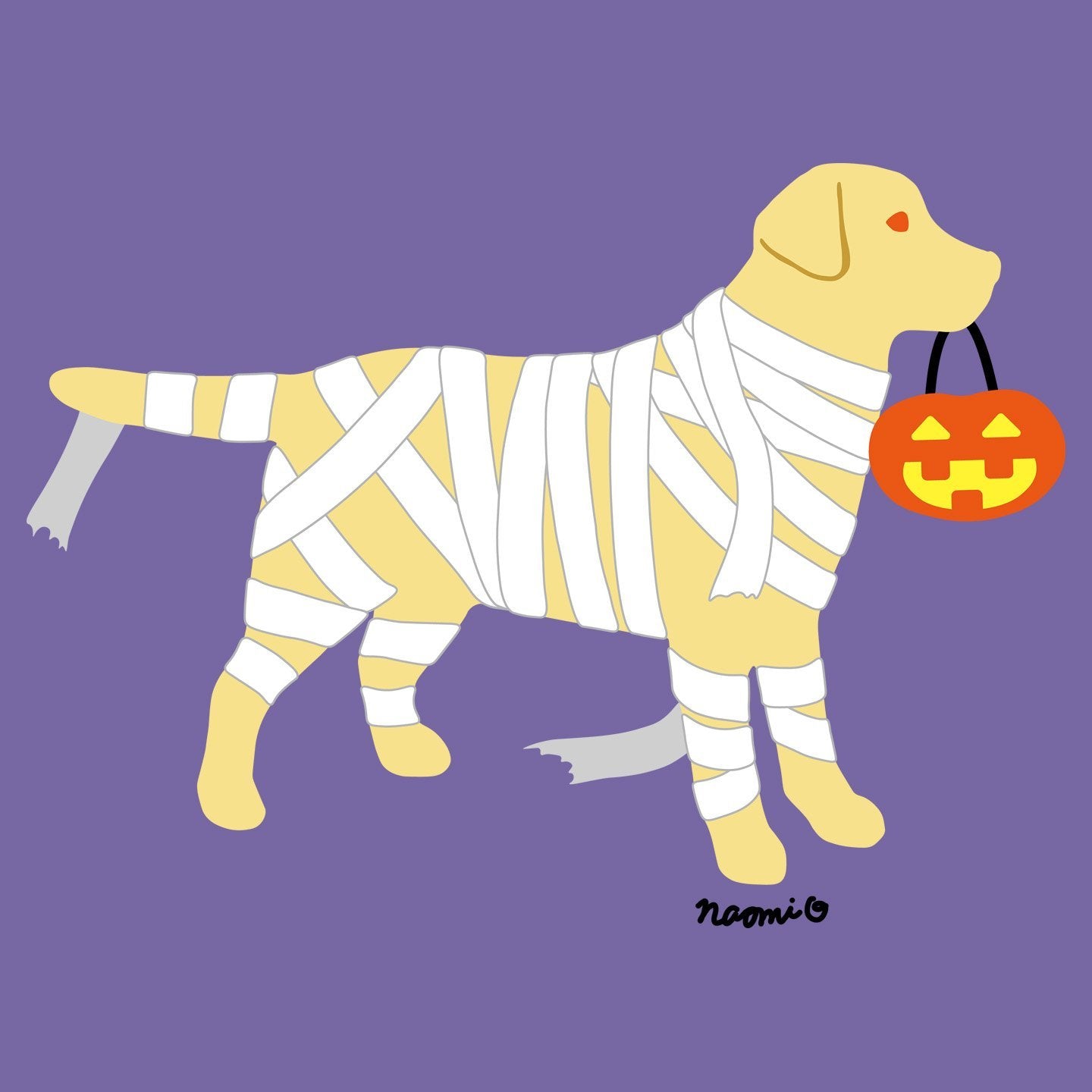 Yellow Lab Mummy Trick or Treater - Women's Tri-Blend T-Shirt