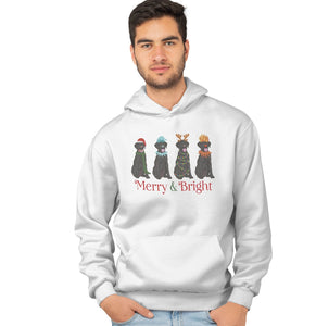 Labradors.com - Black Lab Christmas Line Up - Adult Unisex Hoodie Sweatshirt
