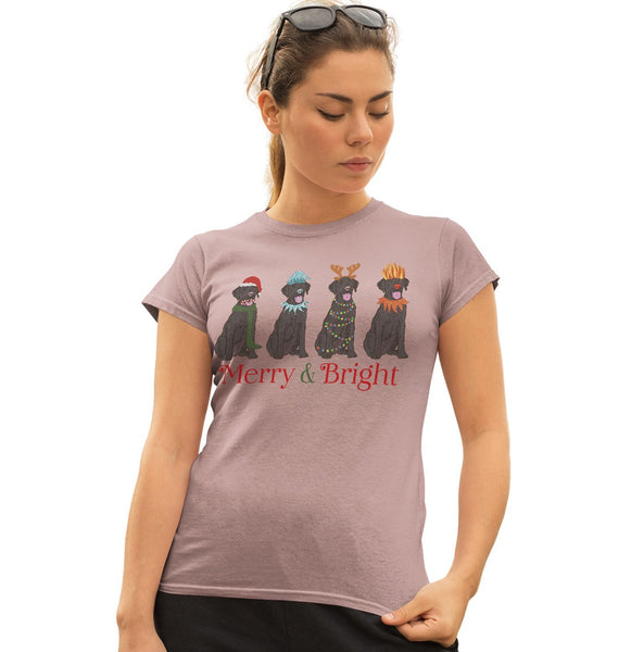 Labradors.com - Black Lab Christmas Line Up - Women's Fitted T-Shirt