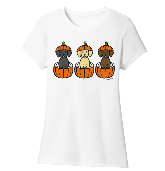 3 Pumpkin Lab Pups - Women's Tri-Blend T-Shirt