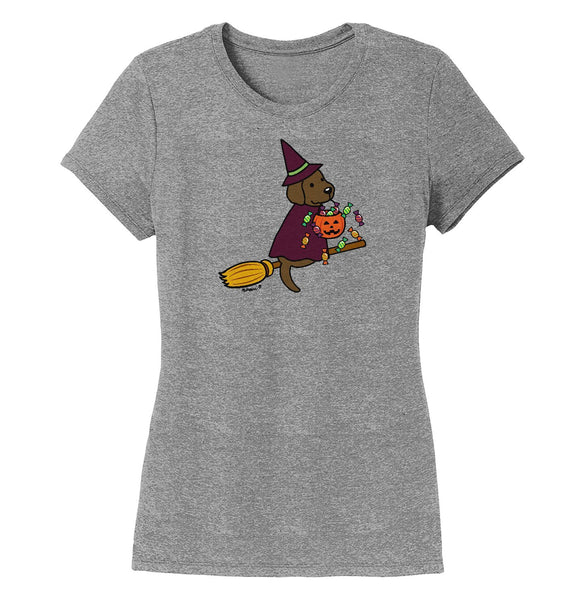 Chocolate Lab Witch - Women's Tri-Blend T-Shirt