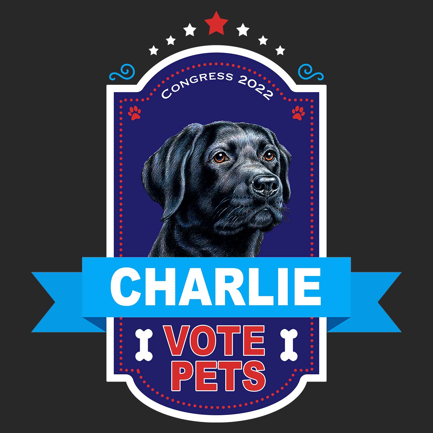 Vote Pets Candidate - Personalized Custom Women's V-Neck T-Shirt
