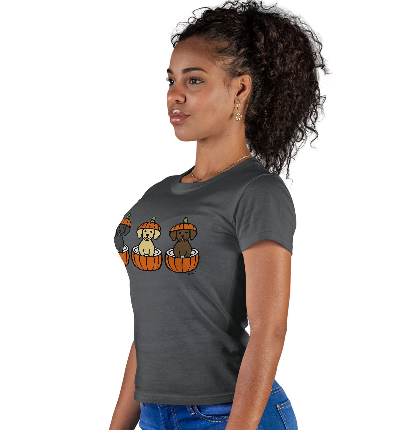 3 Pumpkin Lab Pups - Women's Fitted T-Shirt