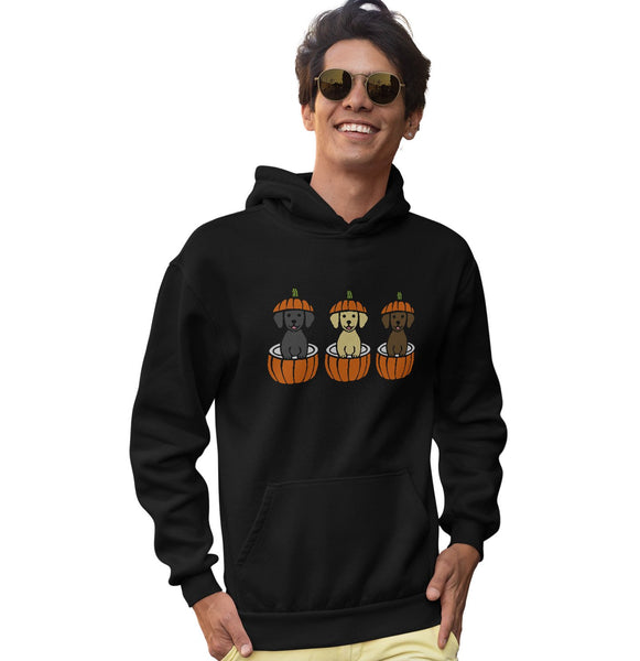 3 Pumpkin Lab Pups - Adult Unisex Hoodie Sweatshirt