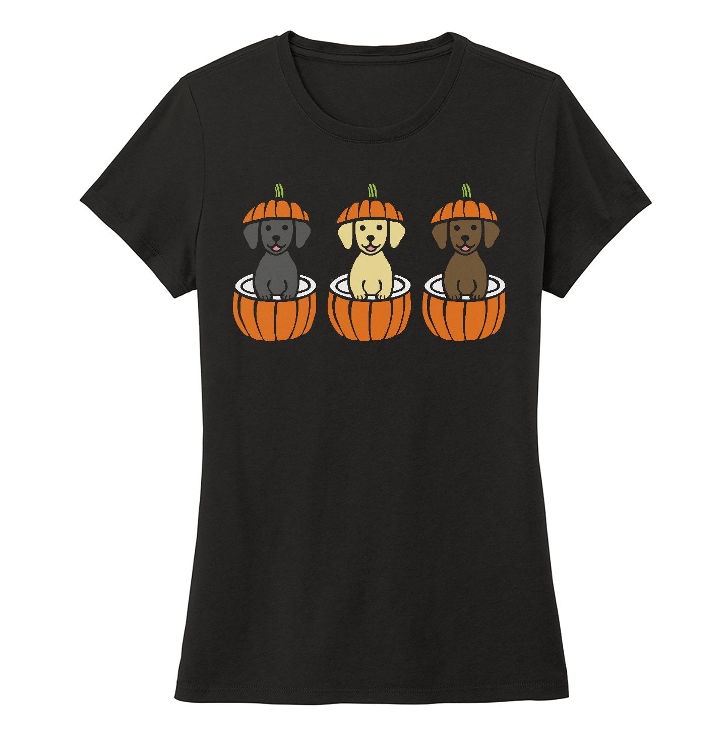 3 Pumpkin Lab Pups - Women's Tri-Blend T-Shirt