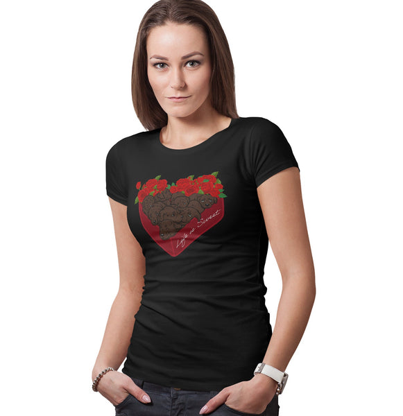 Box of Chocolate Labs - Women's Fitted T-Shirt