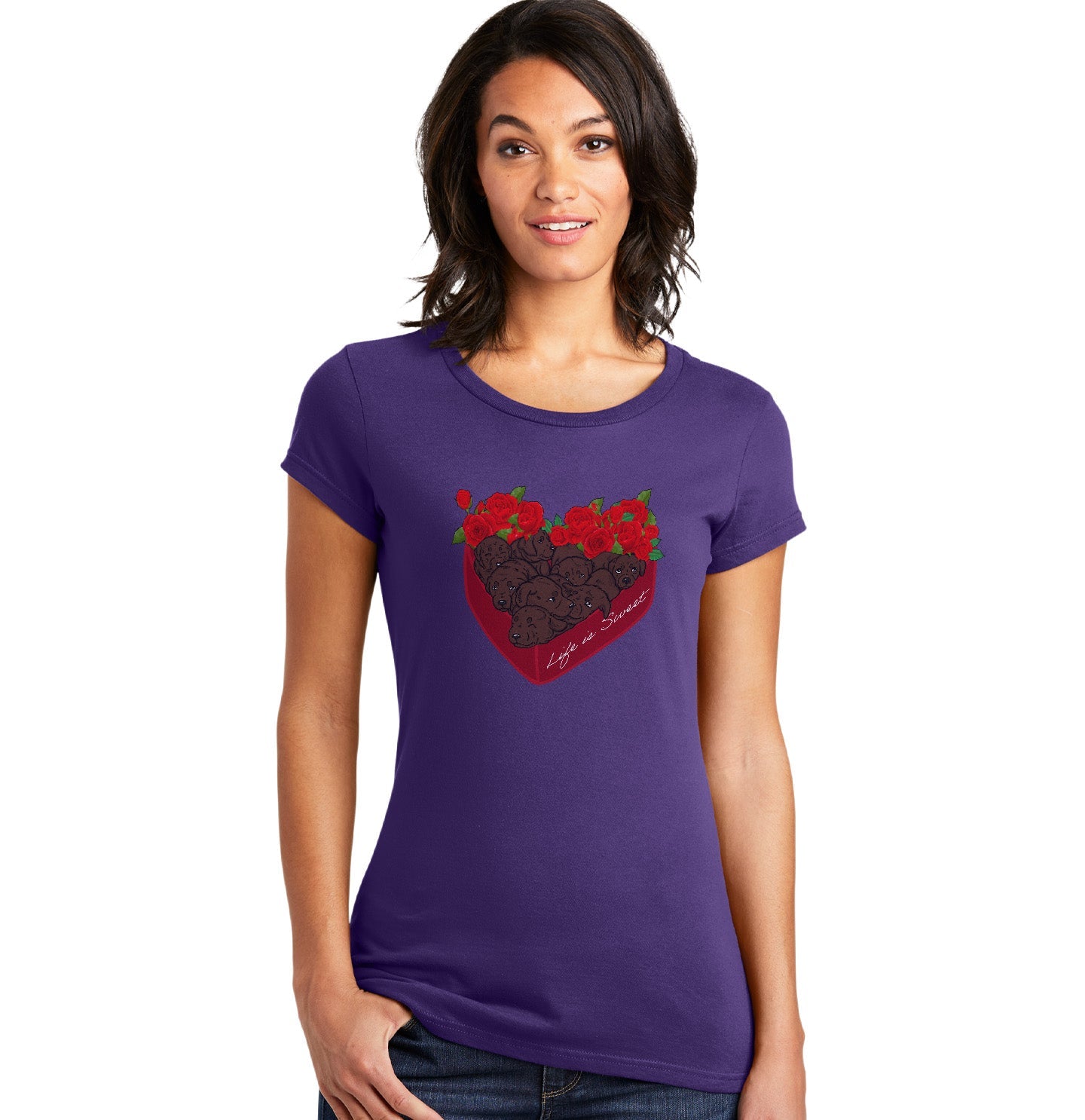 Labradors.com - Box of Chocolate Labs - Women's Fitted T-Shirt