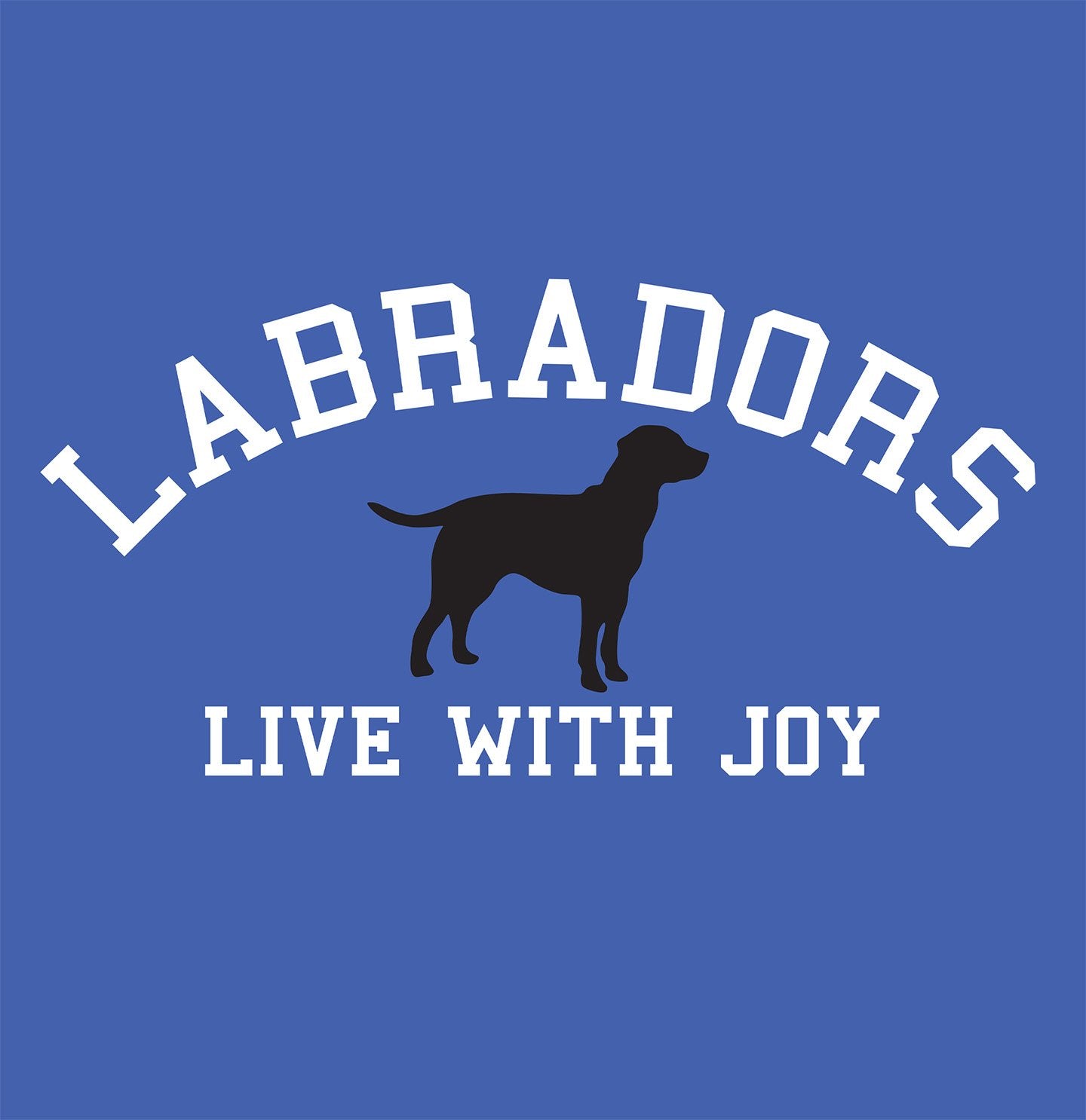 Labradors Live With Joy on Blue - Ladies Polyester Houndstooth Hat