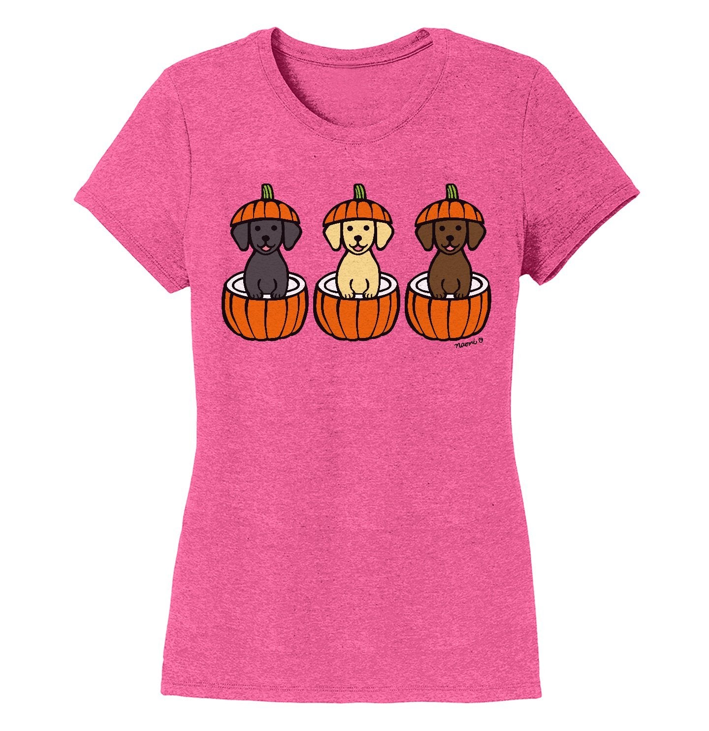 3 Pumpkin Lab Pups - Women's Tri-Blend T-Shirt