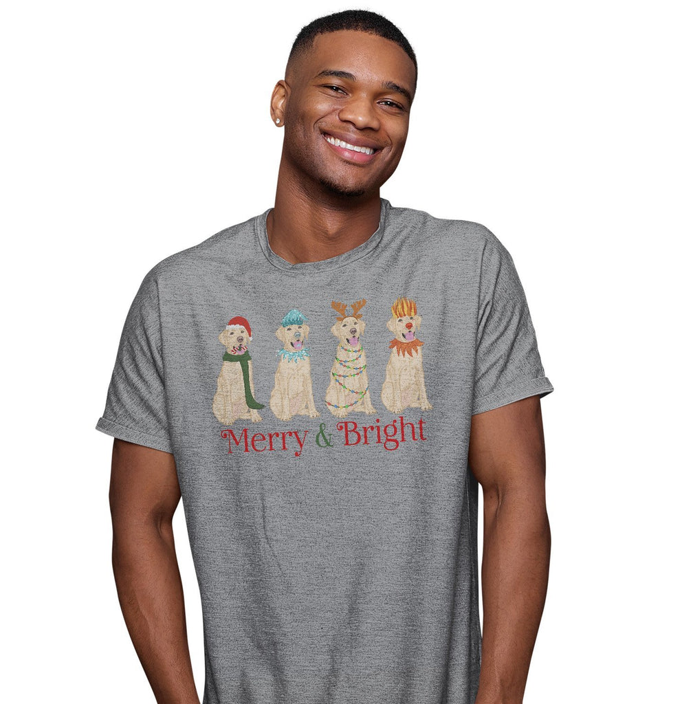 Lab on sale christmas sweater