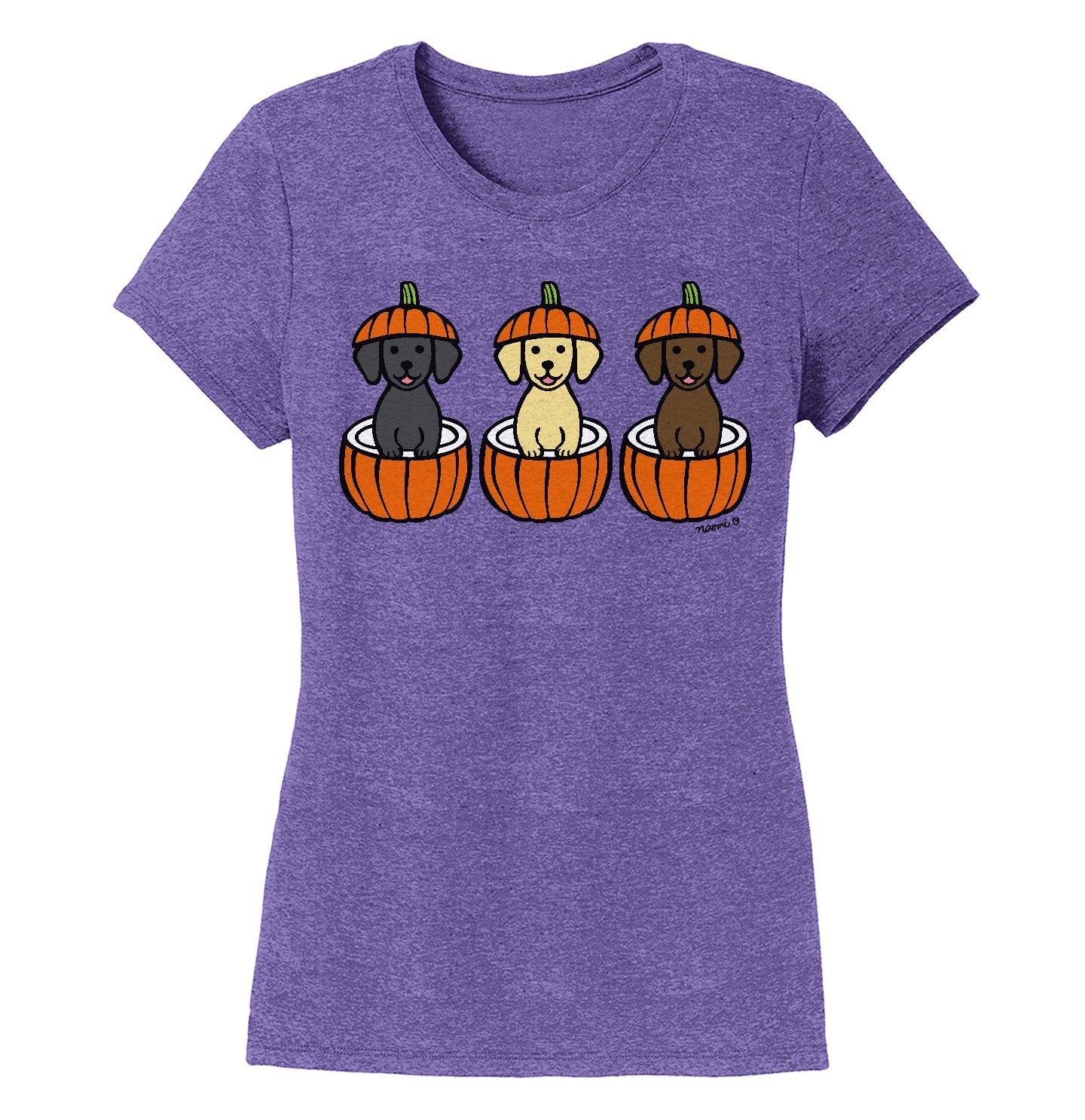 3 Pumpkin Lab Pups - Women's Tri-Blend T-Shirt