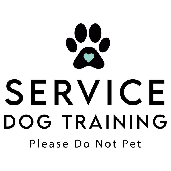 Service Dog Training - Women's V-Neck T-Shirt