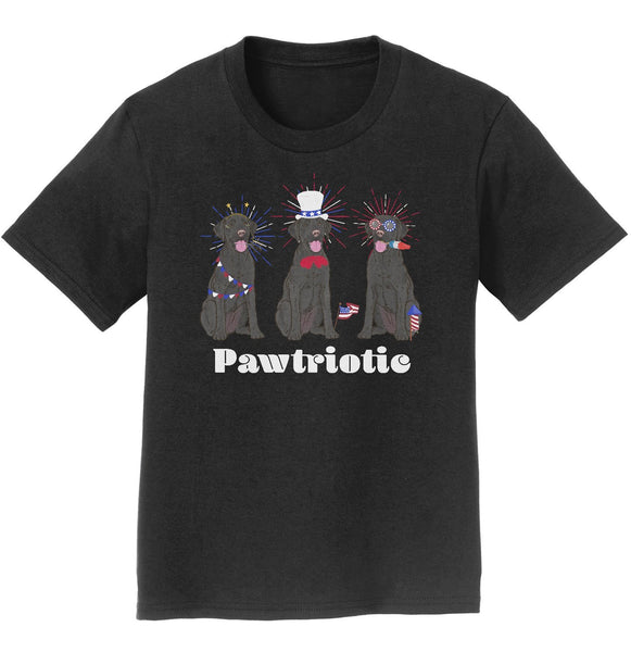Patriotic 4th of July Black Labs | Youth Shirt