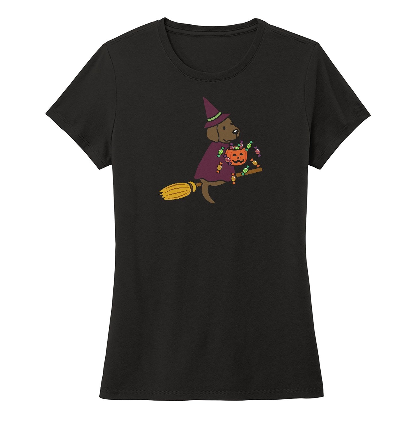 Chocolate Lab Witch - Women's Tri-Blend T-Shirt