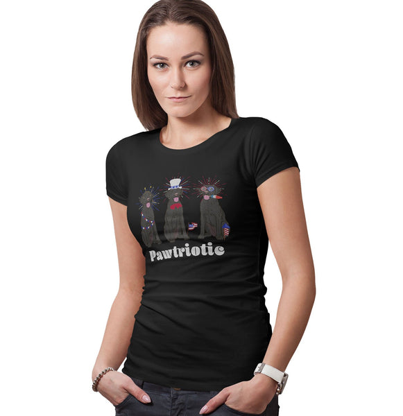 Patriotic 4th of July Black Labs | Ladies' Fitted Shirt
