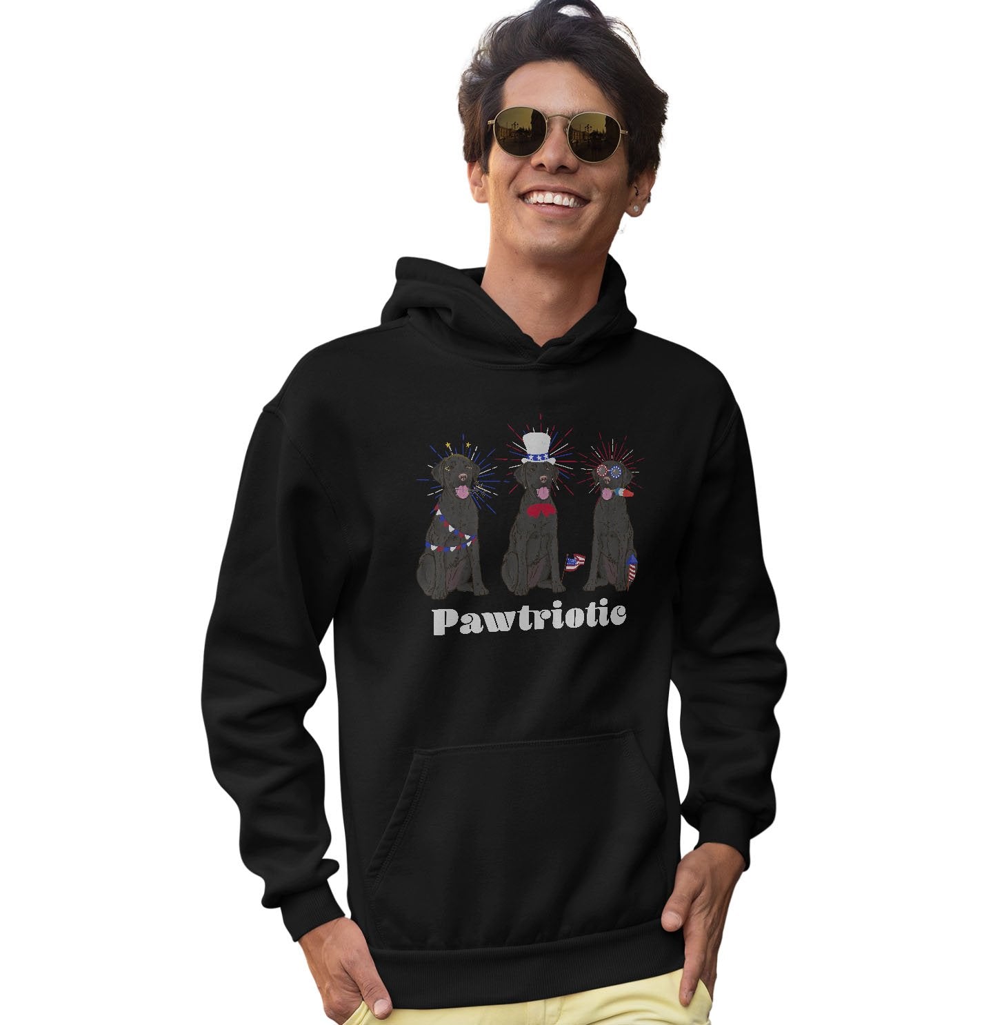 Patriotic 4th of July Black Labs | Hoodie