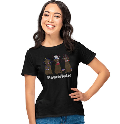 Patriotic 4th of July Chocolate Labs | Ladies' Tri-Blend Shirt