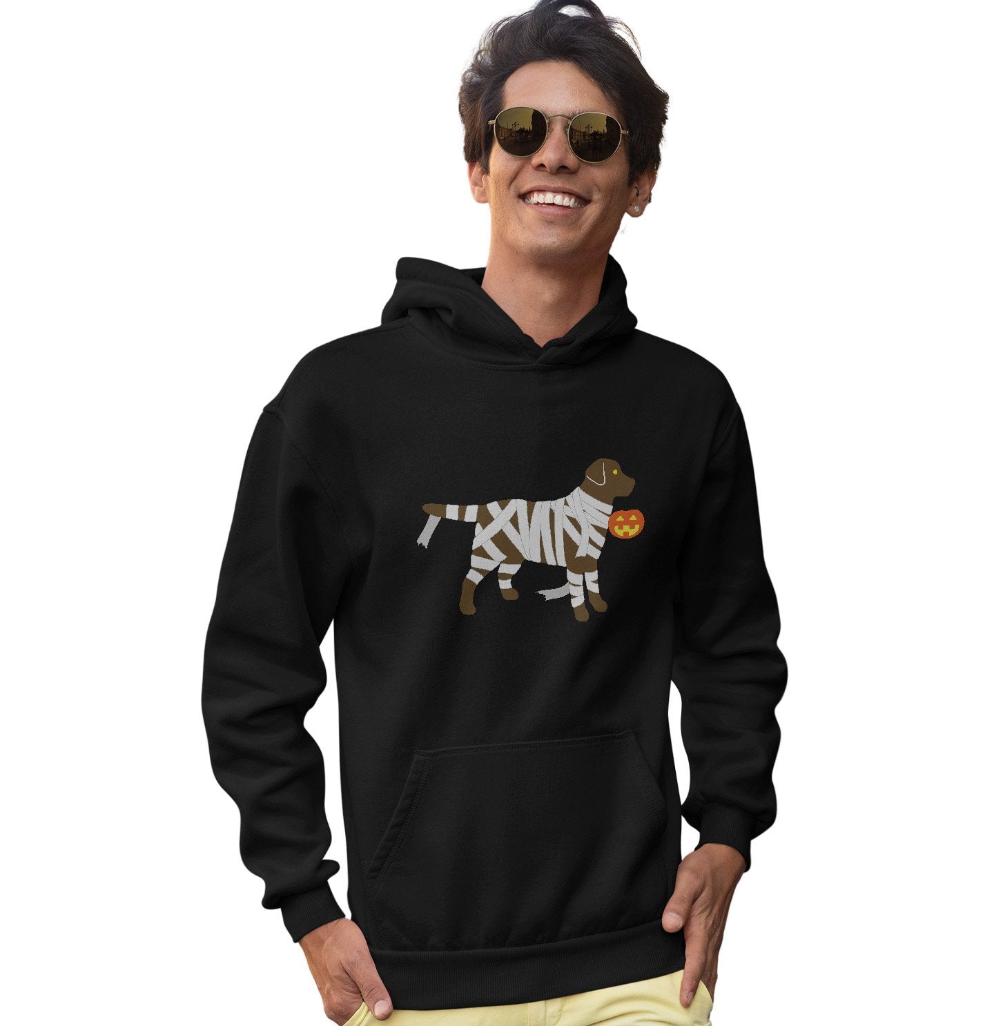 Chocolate Lab Mummy Trick or Treater - Adult Unisex Hoodie Sweatshirt