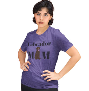 Labradors.com - Chocolate Labrador Mom Illustration - Women's Tri-Blend T-Shirt