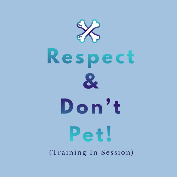 Service Dog Training Respect and Don't Pet - Women's Fitted T-Shirt