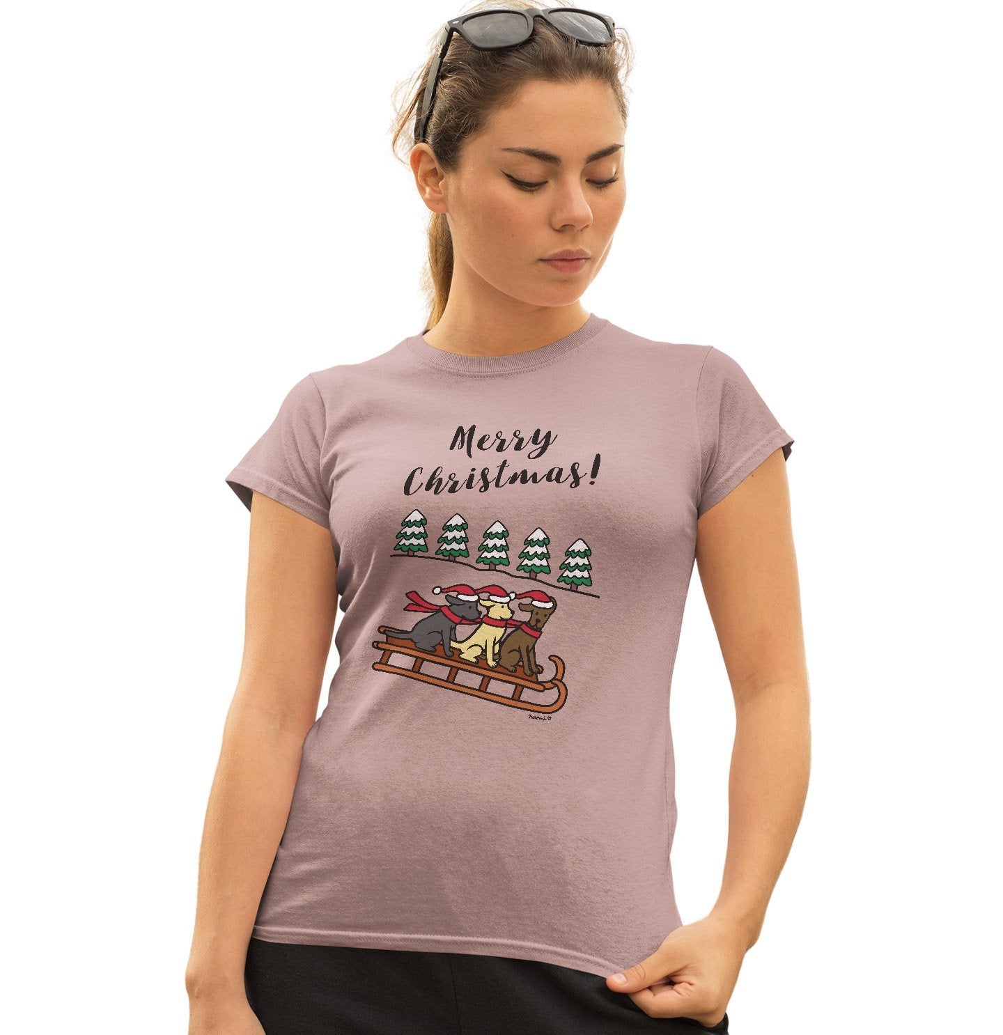 Three Labs on a Sleigh - Women's Fitted T-Shirt