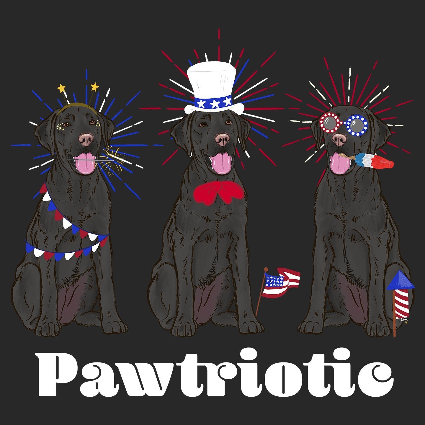 4th of July Lineup Black Lab - Women's Tri-Blend T-Shirt