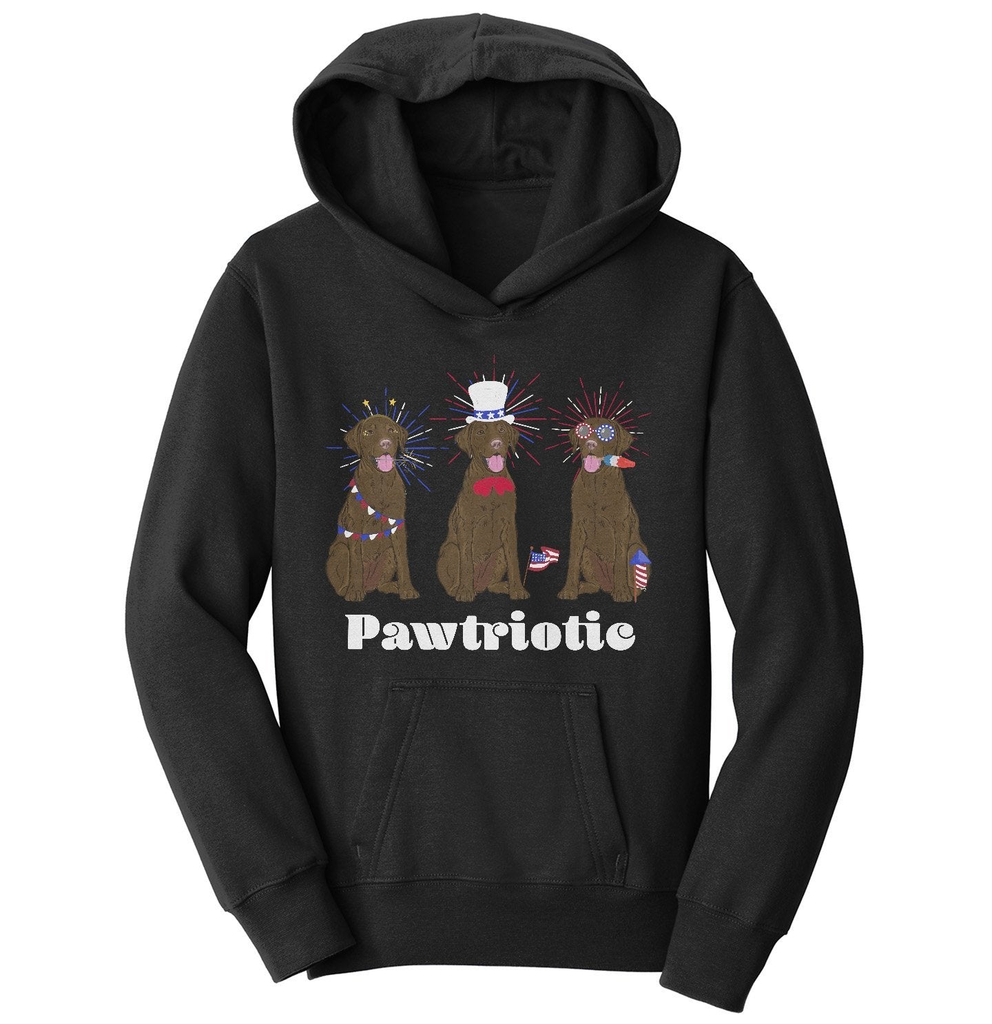 Patriotic 4th of July Chocolate Labs | Youth Hoodie