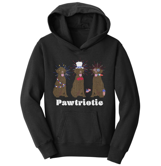 Patriotic 4th of July Chocolate Labs | Youth Hoodie