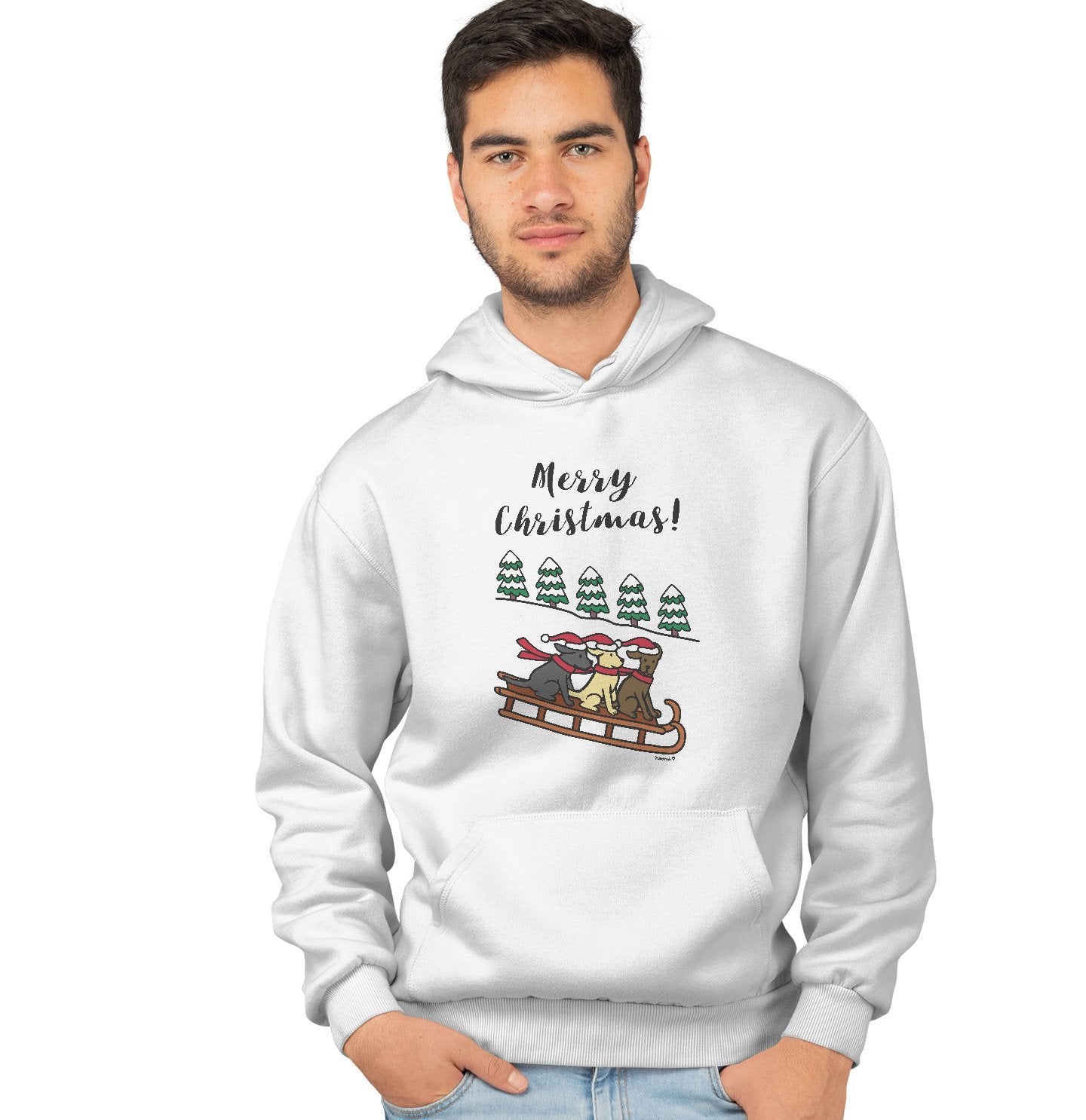 Three Labs on a Sleigh - Adult Unisex Hoodie Sweatshirt