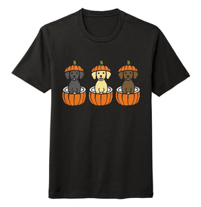 3 Pumpkin Lab Pups - Halloween - Tri-Blend T-Shirt