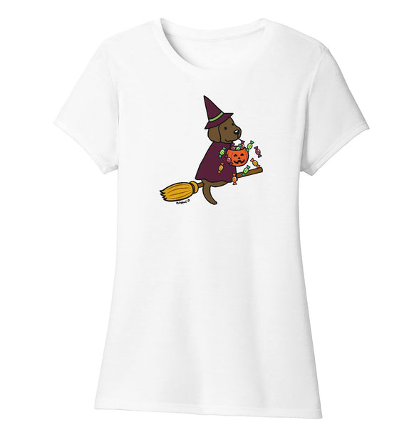 Chocolate Lab Witch - Women's Tri-Blend T-Shirt