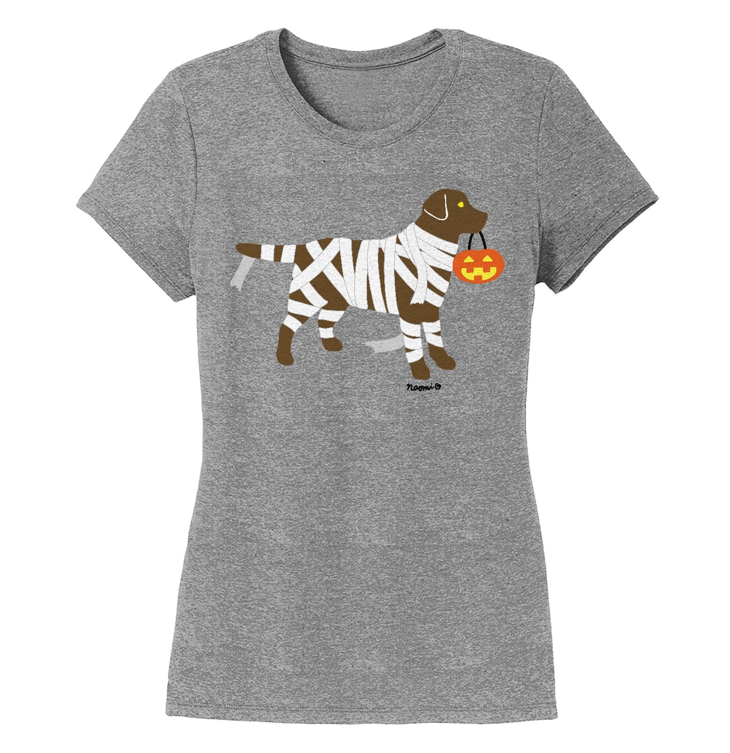 Chocolate Lab Mummy Trick or Treater - Women's Tri-Blend T-Shirt