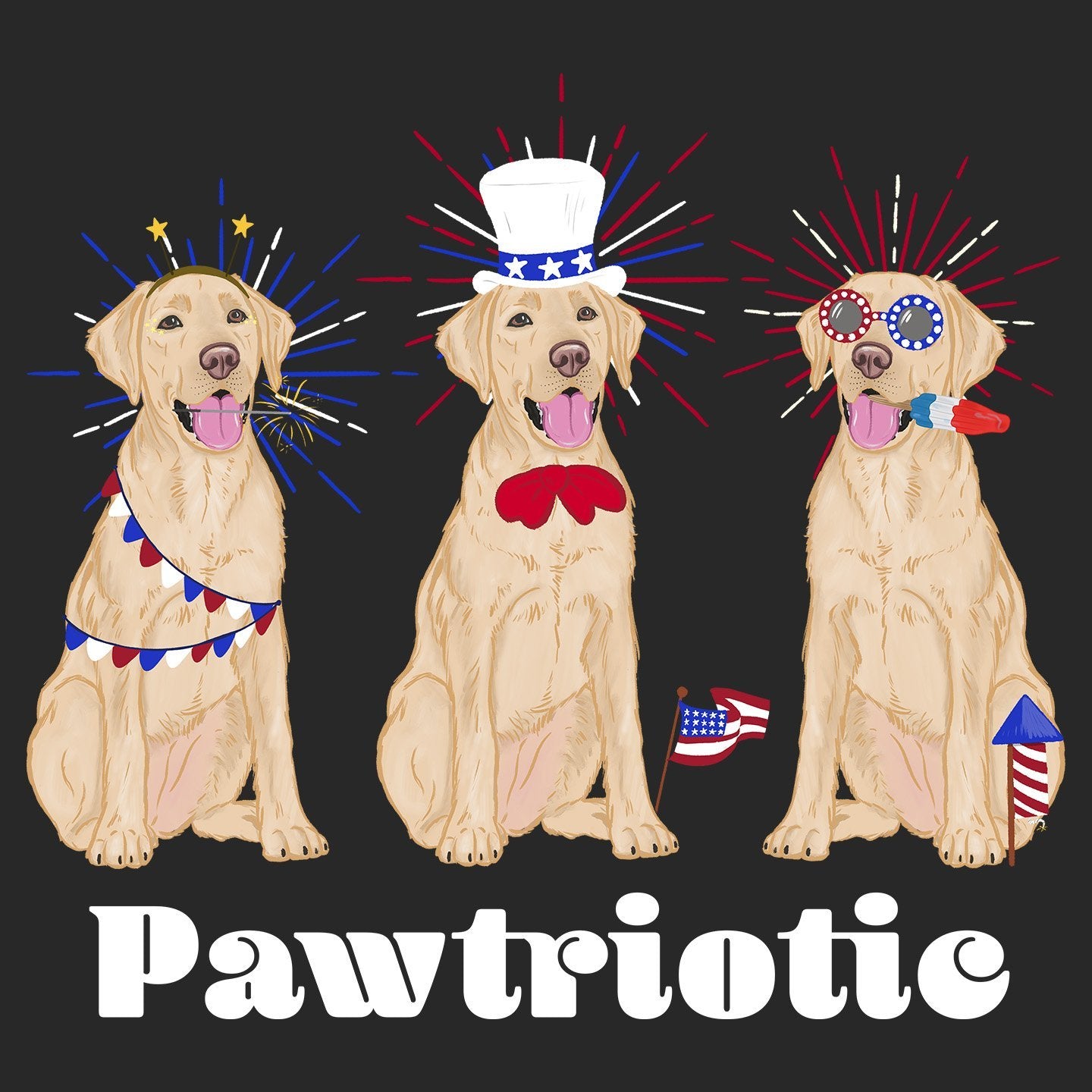 4th of July Lineup Yellow Lab - Women's Tri-Blend T-Shirt