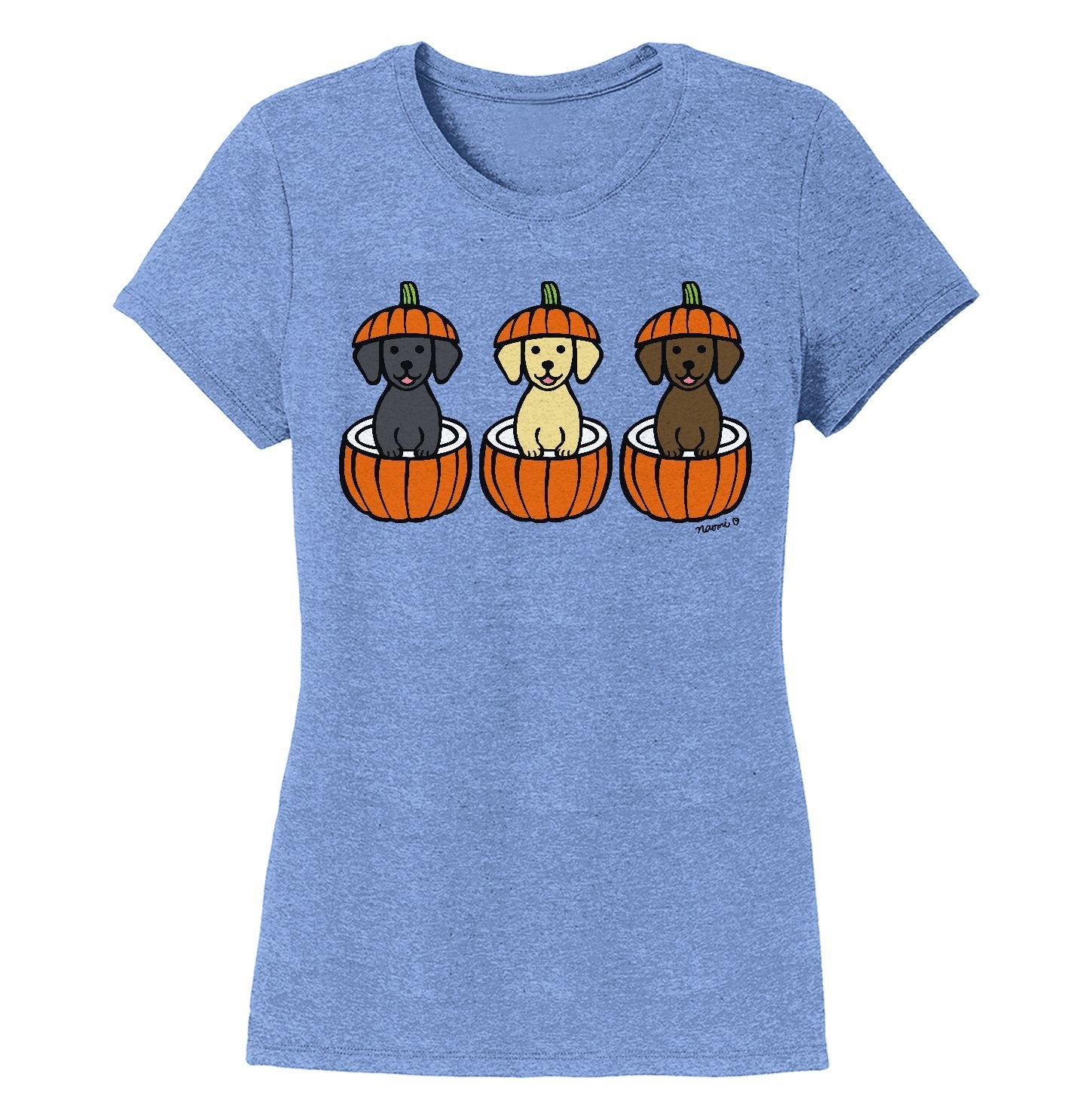 3 Pumpkin Lab Pups - Women's Tri-Blend T-Shirt