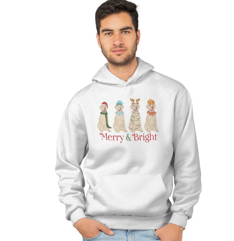 Labradors.com - Yellow Lab Christmas Line Up - Adult Unisex Hoodie Sweatshirt