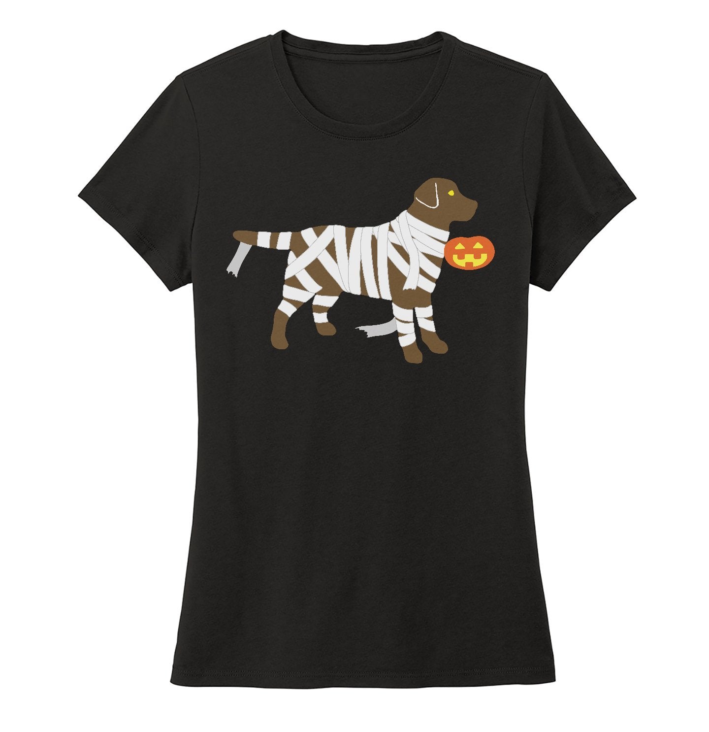 Chocolate Lab Mummy Trick or Treater - Women's Tri-Blend T-Shirt